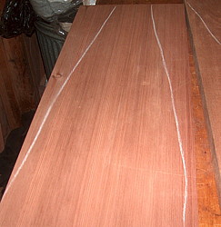 117.jpg