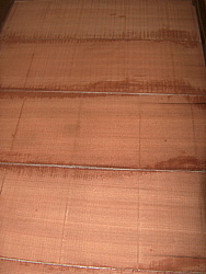 Click on thumbnail to enlarge 225.jpg