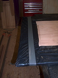 Click on thumbnail to enlarge 244.jpg