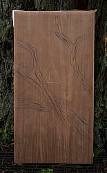 Click on thumbnail to enlarge 262.jpg