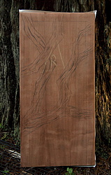 Click on thumbnail to enlarge 264.jpg